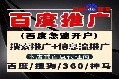 SEM代运营成功案例：打造行业领先品牌